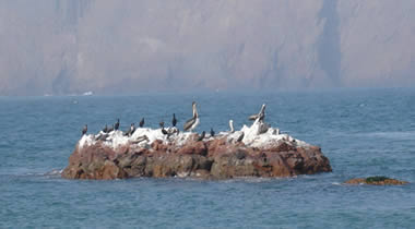 Reserva Nacional de Paracas